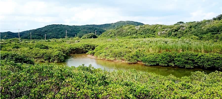 美しい大自然・文化