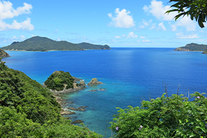 奄美大島