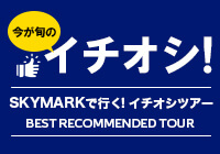 《スカイマーク　x　Ｔ-TRAVEL》Ｔ...のツアー情報