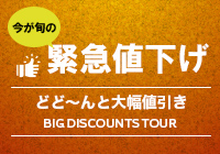 Ｔポイントが貯まる！
山形・松本・静岡...のツアー情報