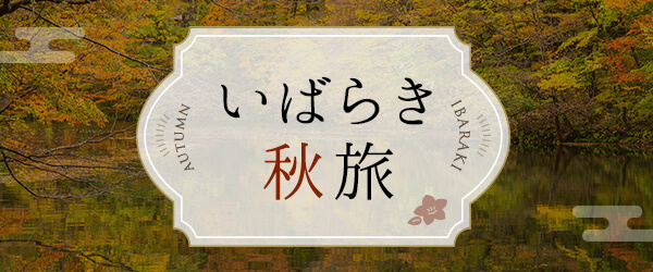 《茨城空港》スカイマークｘいばらき秋旅