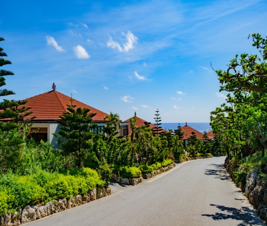 《おすすめNO2》アラマンダ インギャーコーラルヴィレッジ　Ｘ　スカイマーク