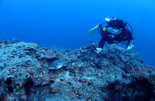 ボートファンダイビング