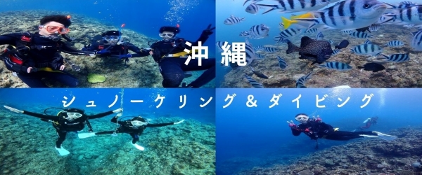 沖縄本島・恩納村でダイビング＆シュノーケリング