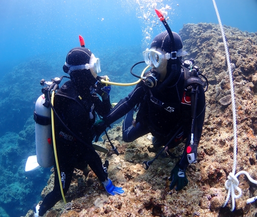 スカイマークで行く！ダイビングライセンス取得（ＮＡＵＩ）ツアー付
