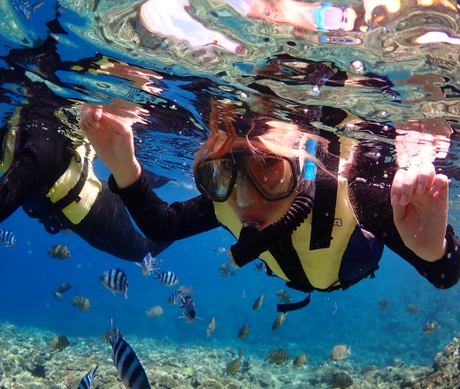 スカイマークで行く！青の洞窟シュノーケリングツアー＆ハイブリッドレンタカー付