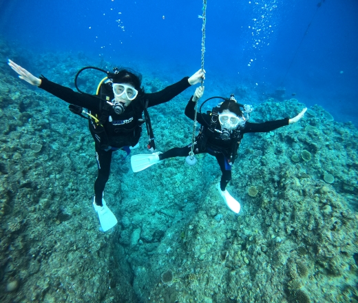 スカイマークで行く！青の洞窟ボート体験ダイビングツアー付