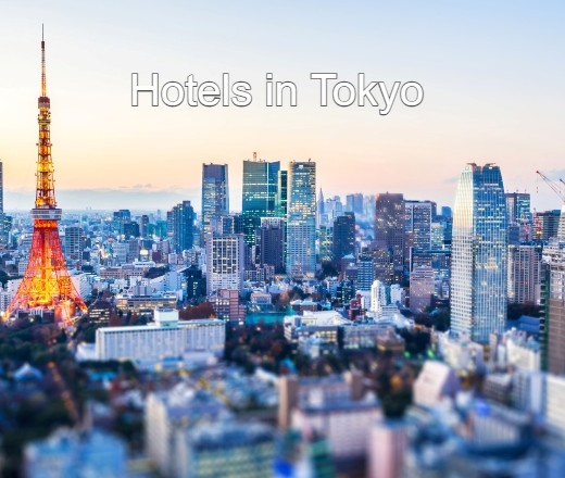 東京に泊まる全ての商品を見る（表示後、ご希望の出発日などで商品を絞り込めます）